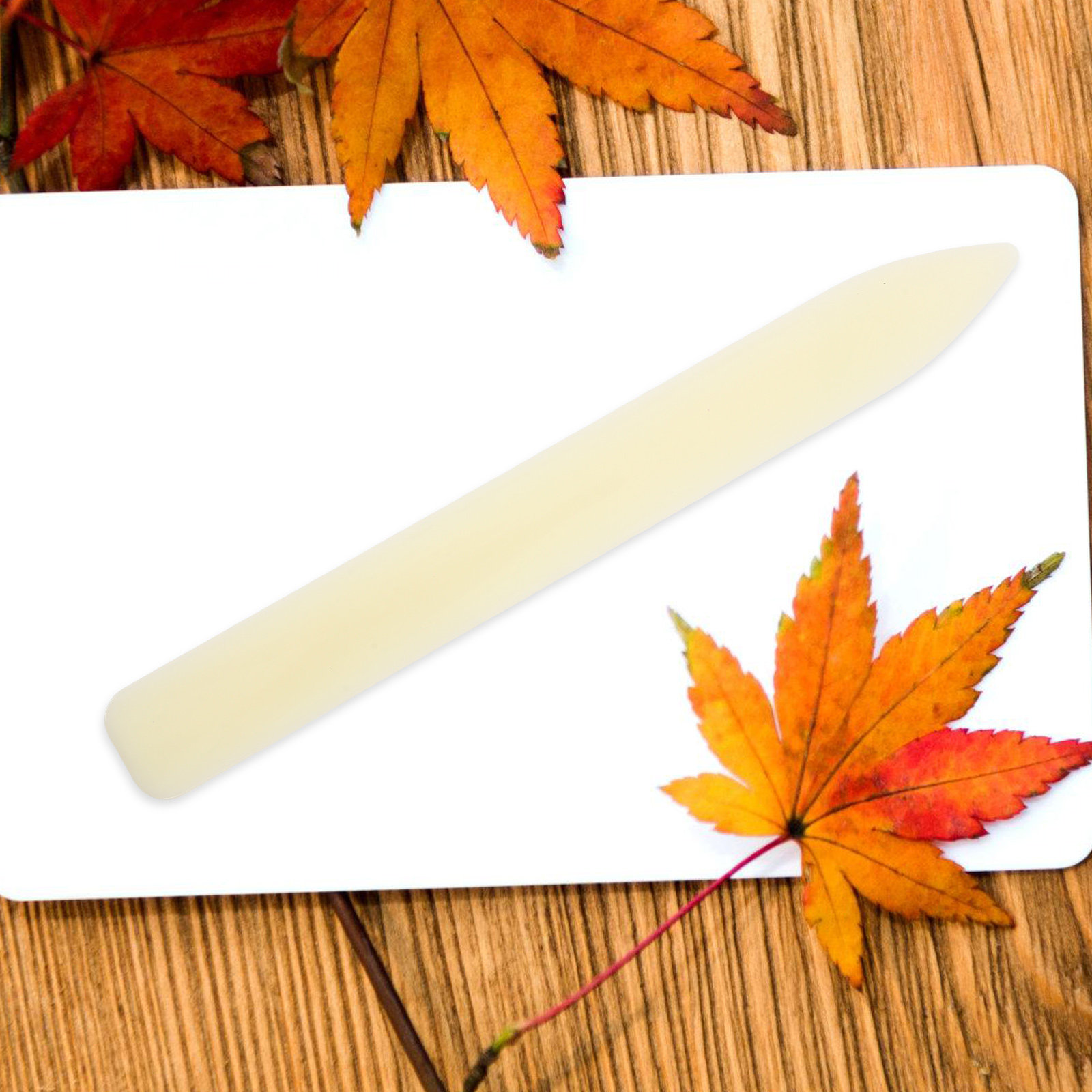 5 stuks plastic vouwvormer voo - Bone Folder Tool recensie en prijs